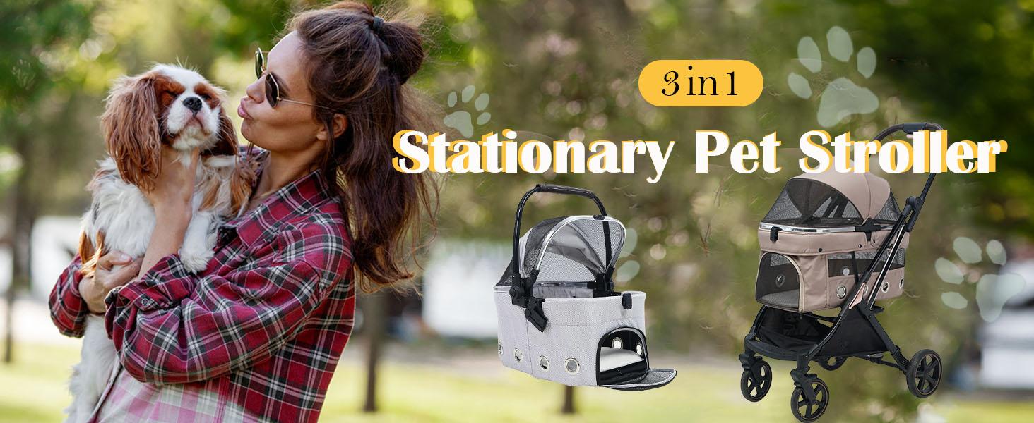 Stationary Pet Carriage