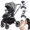 Plated Luxury Stroller