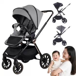 Plated Luxury Stroller